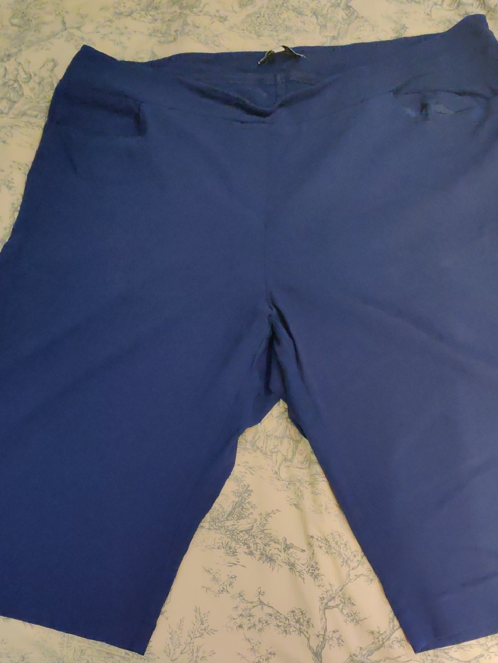 Plus Classic Women’s Blue Stretch Bermuda Shorts